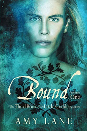Tapa de Bound, Vol. 1