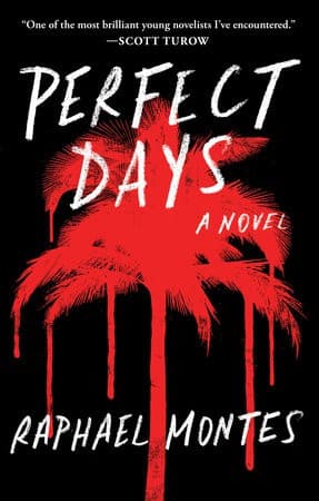 Tapa de Perfect Days