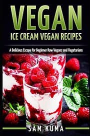 Tapa de Vegan : Ice Cream Vegan Recipes