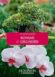 Tapa de Bonsaïs et orchidées