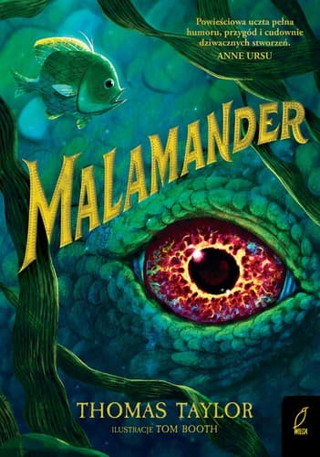 Tapa de Malamander