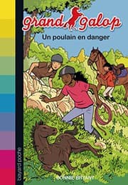 Tapa de UN POULAIN EN DANGER