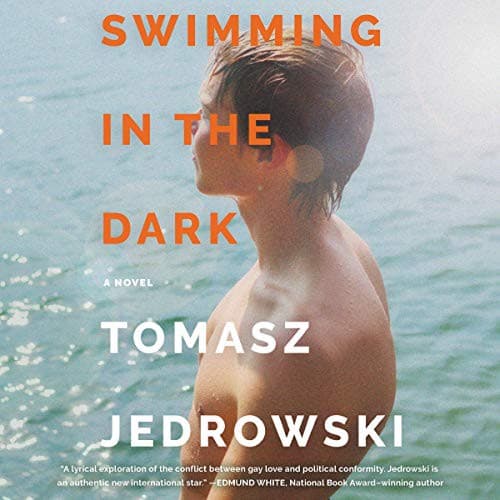 Tapa de Swimming in the Dark