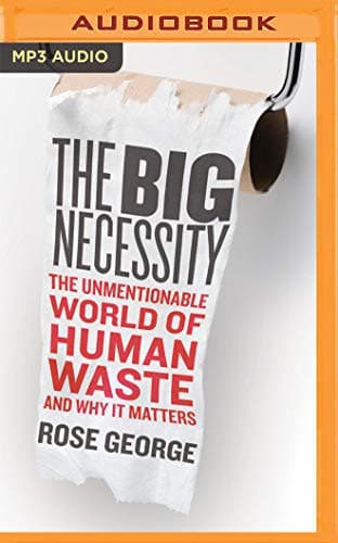 Tapa de Big Necessity, The