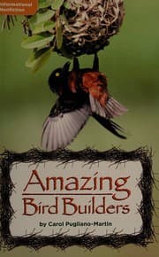 Tapa de Amazing bird builders