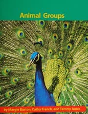 Tapa de Animal groups