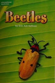 Tapa de Beetles