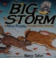Tapa de The big storm