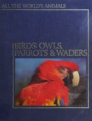 Tapa de Birds
