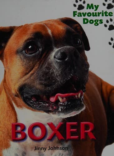 Tapa de Boxer