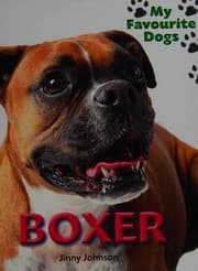 Tapa de Boxer