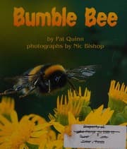 Tapa de Bumble bee
