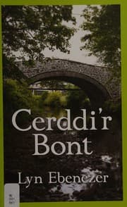 Tapa de Cerddi'r Bont