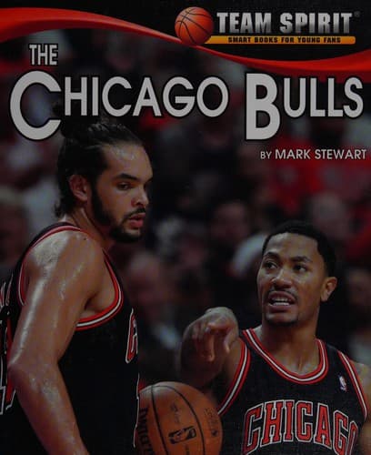 Tapa de The Chicago Bulls
