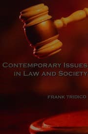Tapa de Contemporary issues in law and society