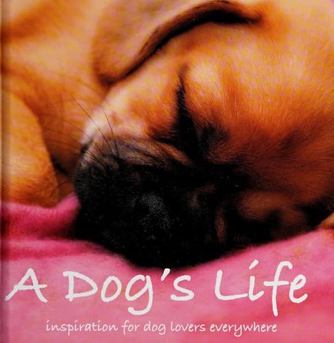 Tapa de A Dog's Life