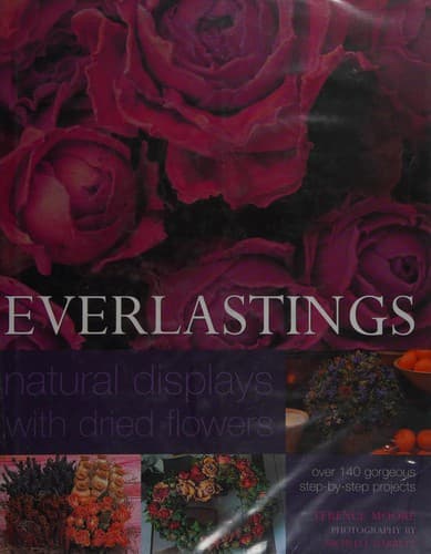 Tapa de Everlastings