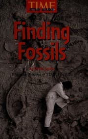 Tapa de Finding fossils