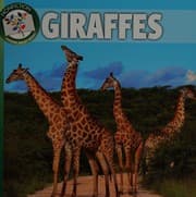 Tapa de Giraffes