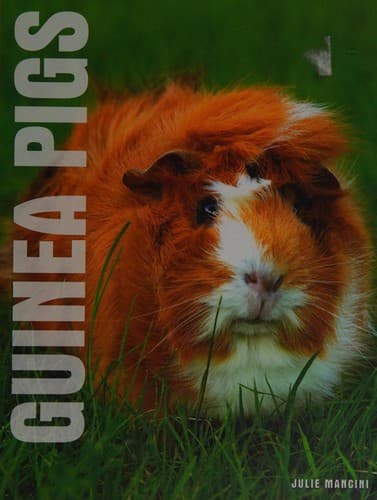 Tapa de Guinea pigs