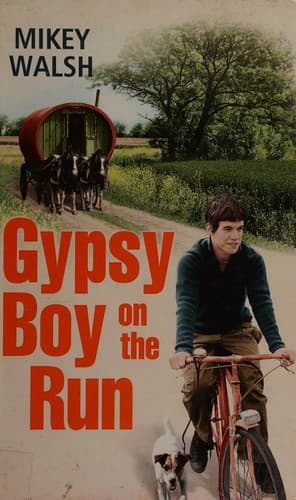 Tapa de Gypsy boy on the run