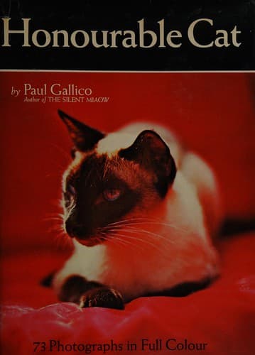 Tapa de Honourable cat