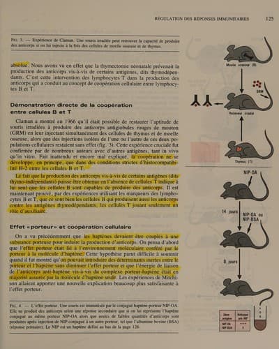 Tapa de Immunologie