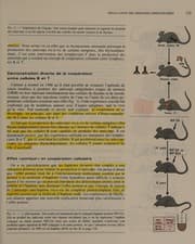 Tapa de Immunologie