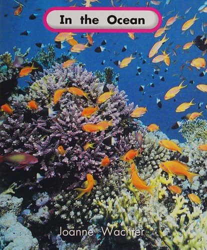 Tapa de In the ocean