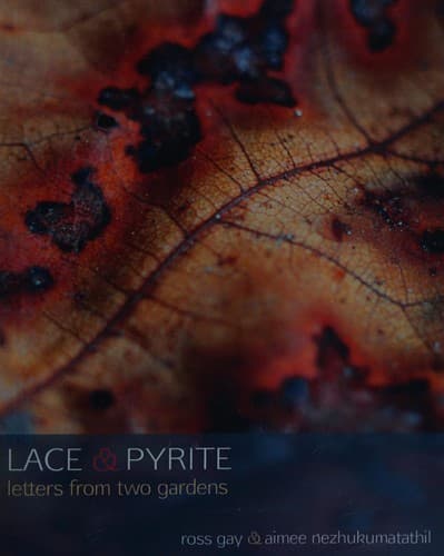 Tapa de Lace & pyrite