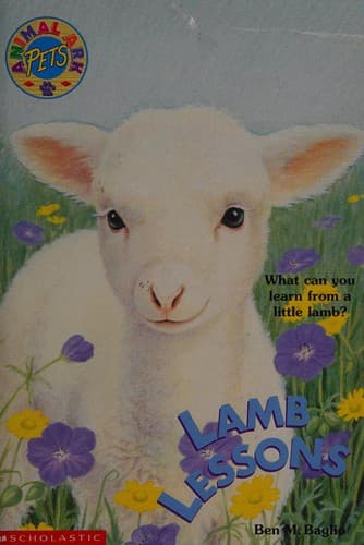 Tapa de Lamb lessons