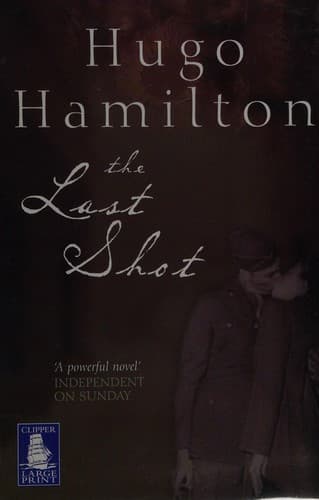 Tapa de The last shot