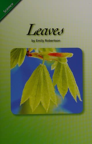 Tapa de Leaves