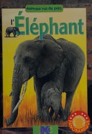 Tapa de L'éléphant