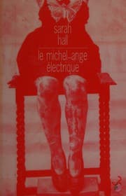 Tapa de Le Michel-Angel électrique