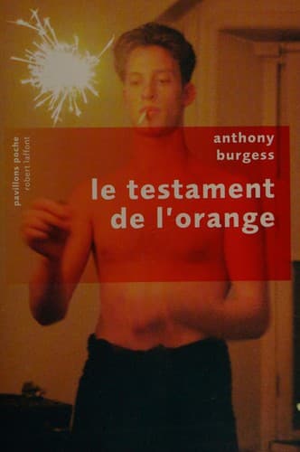 Tapa de Le testament de l'orange
