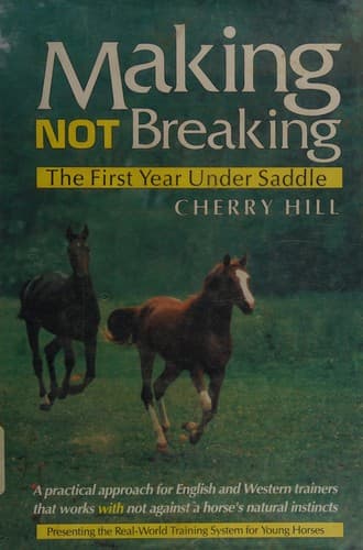 Tapa de Making, not breaking