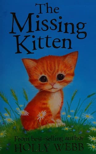 Tapa de The missing kitten