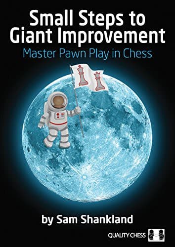 Tapa de Small Steps to Giant Improvement