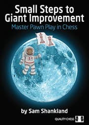 Tapa de Small Steps to Giant Improvement