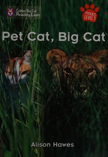Tapa de Pet cat, big cat