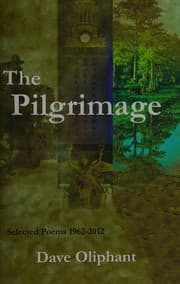 Tapa de The pilgrimage
