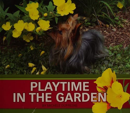 Tapa de Playtime in the garden
