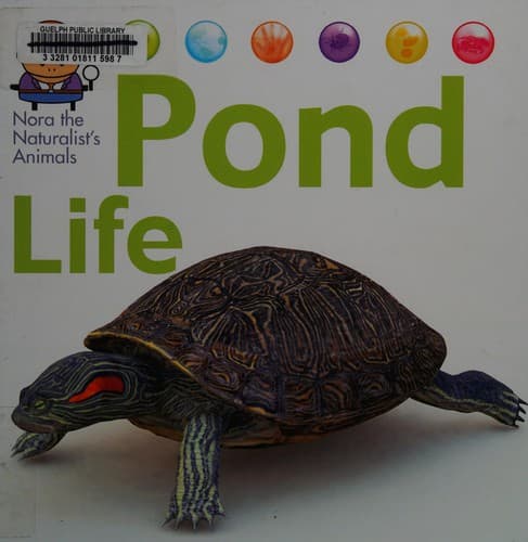 Tapa de Pond life