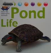 Tapa de Pond life