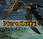 Tapa de Pterodactyl