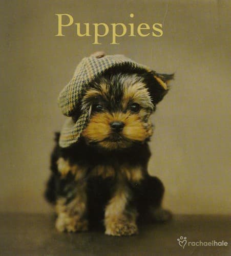 Tapa de Puppies