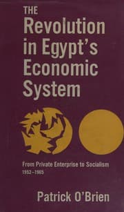 Tapa de The revolution in Egypt's economic system