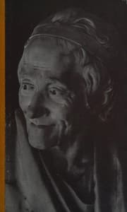 Tapa de Voltaire
