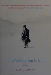 Tapa de The Wandering Falcon